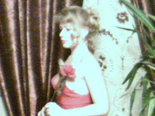 Галина Шамшина