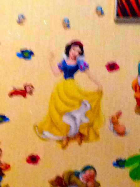 Роман Елисеев