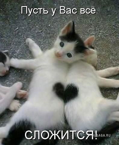 Светлана Некрасова