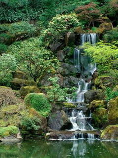 Жазгул Ибрагимова