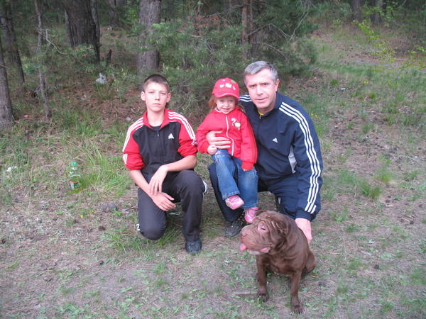 Александр Сырцев