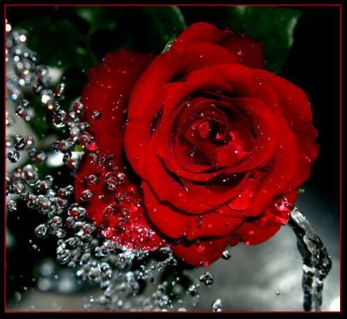 Надежда Кузнецова