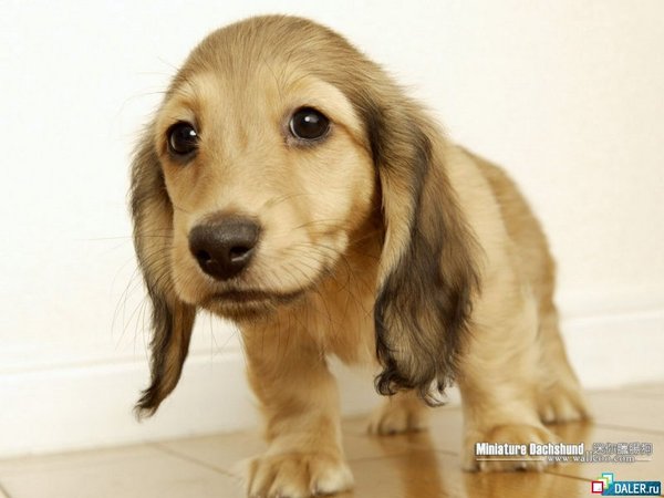 Татьяна Косенкова