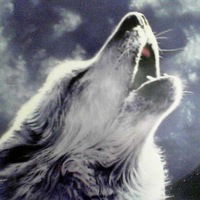 Руслан Семин