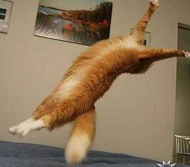 Марина Мона