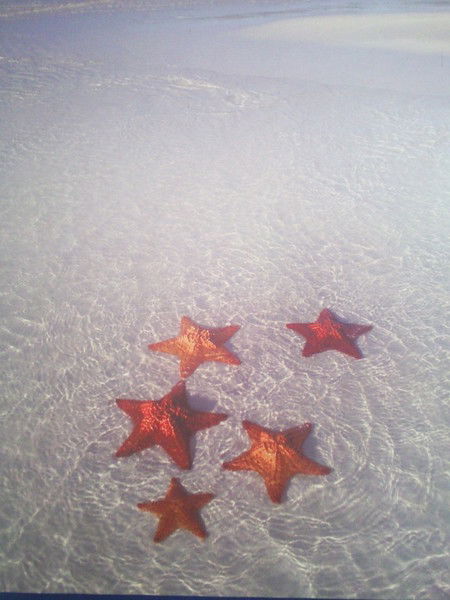 Игорь Спиридонов