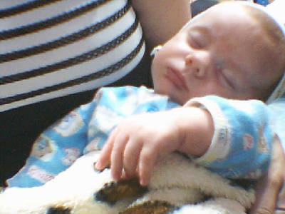 Елена Гутник