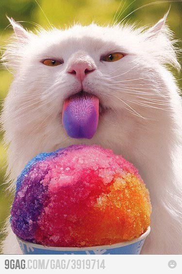 Иван Черноусов