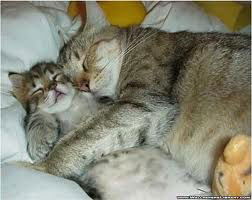 Александр Валерьевич Пирожков