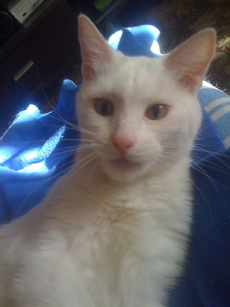 Людмила Столярова