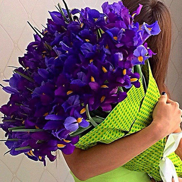 Лучше иногда тупить чем постоянно умничать. Смотреть фото Лучше иногда тупить чем постоянно умничать. Смотреть картинку Лучше иногда тупить чем постоянно умничать. Картинка про Лучше иногда тупить чем постоянно умничать. Фото Лучше иногда тупить чем постоянно умничать
