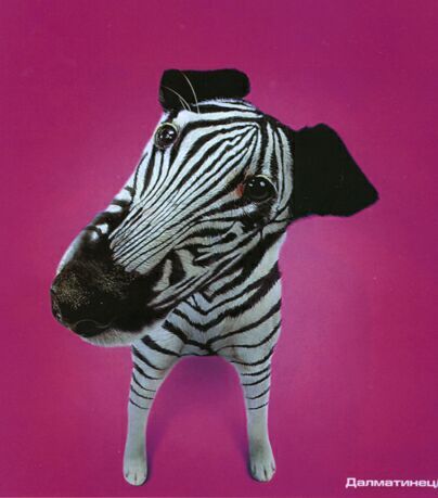 Алексей Мельников