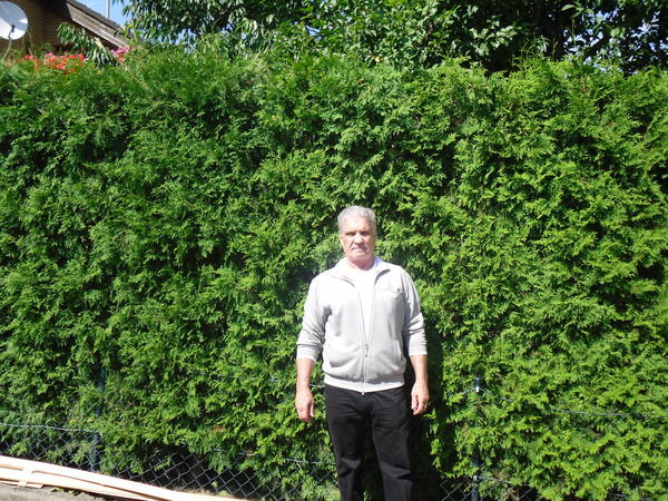 Александр Лейс