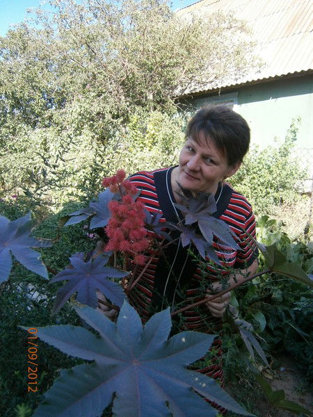 Валентина Кобышева