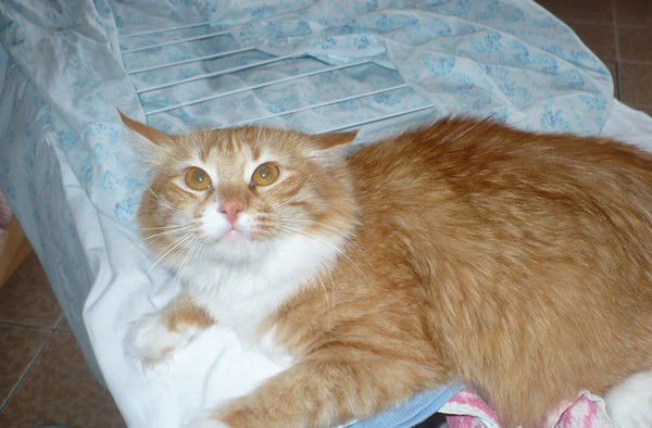 Татьяна Зайцева