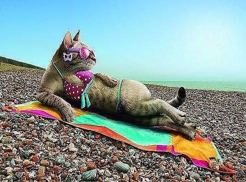 Иришка Костылева