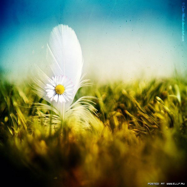 Валентина Митрофанова