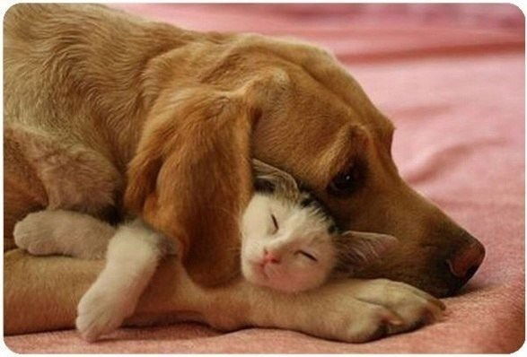 Айгуля Кыргызбаева