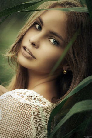 Скотя Мяу Мяу