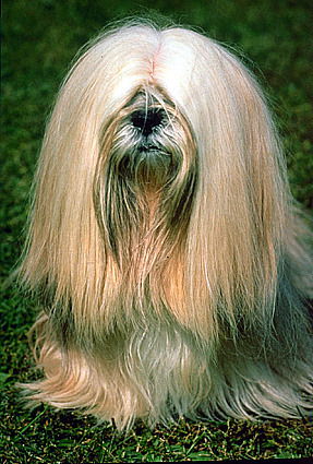 Маруся Климова