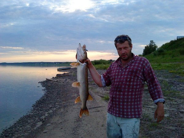 Влад Овчаренко