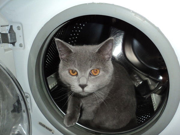 Оксана Кугмир