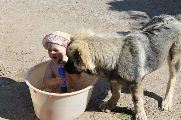 Оксана Давий