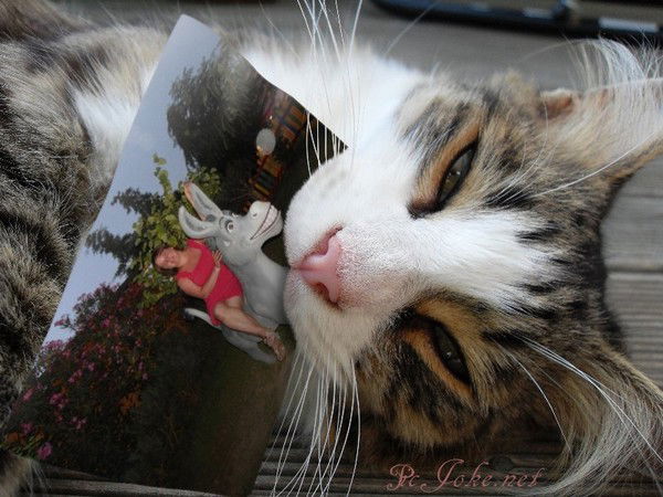 Екатерина Хайрутдинова