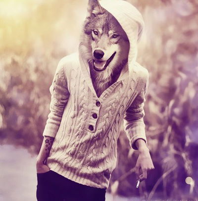 Тимур Шафиков