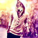 Тимур Шафиков