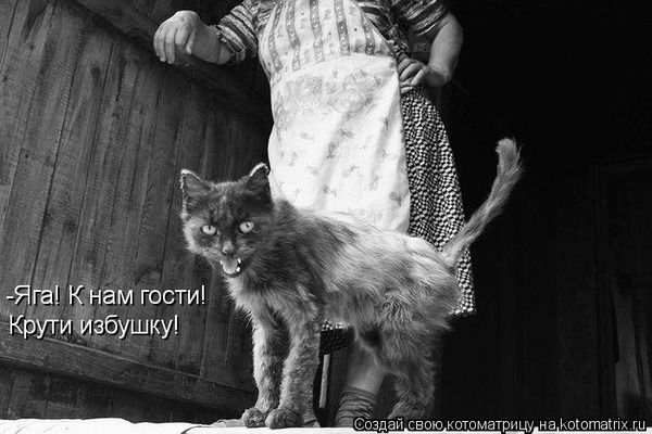 Людмила Васильева