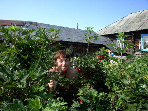 Елена Черепанова