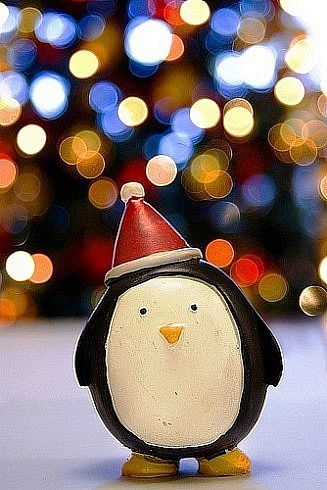 Аня Михайлова