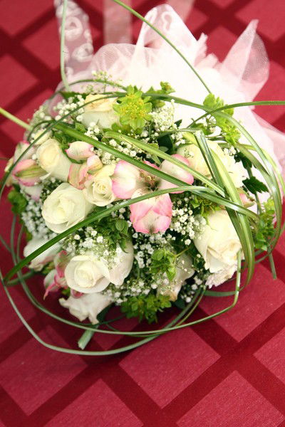 Анастасия Костерина