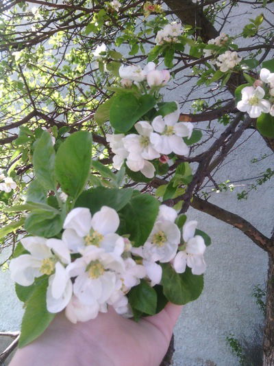 Наталья Казаринова