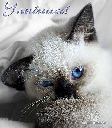 Олеся Двуреченская