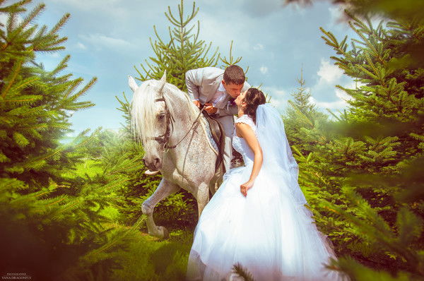 Анна Шестакова