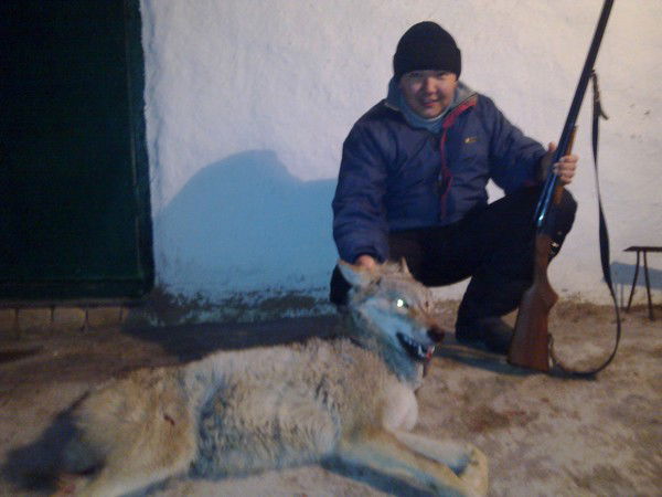 Мишеев Дмитрий