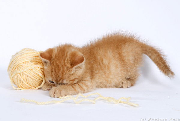 Гульназ Хабибуллина