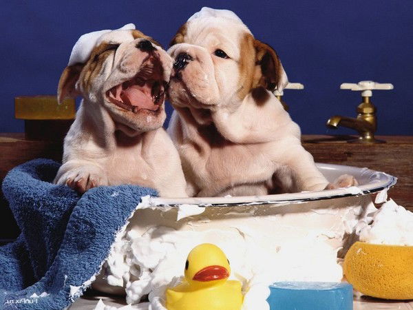 Андрей Глушков