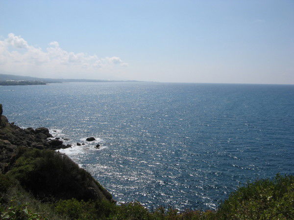 Ирина Кокшарова