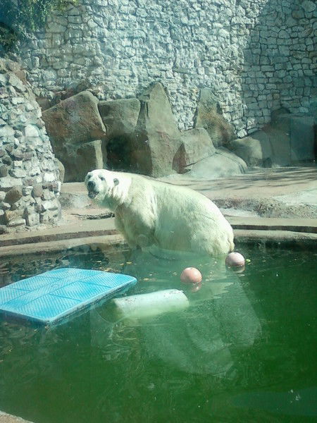 Олег Аввакумов