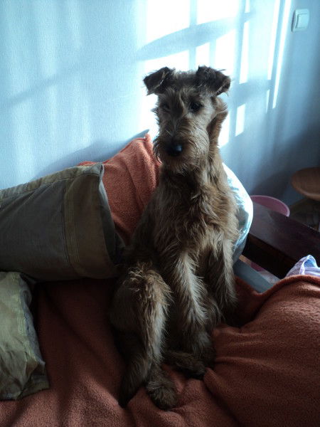 Светлана Щетинкина