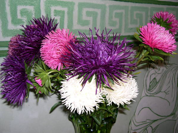 Вера Катаева