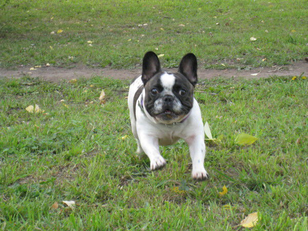 Светлана Борисова