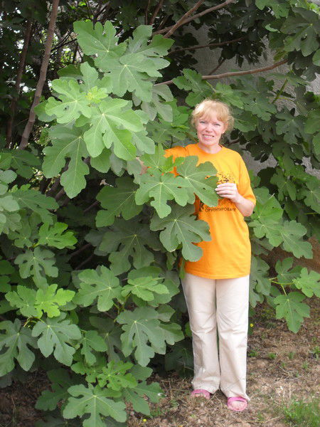 Надежда Апостолова