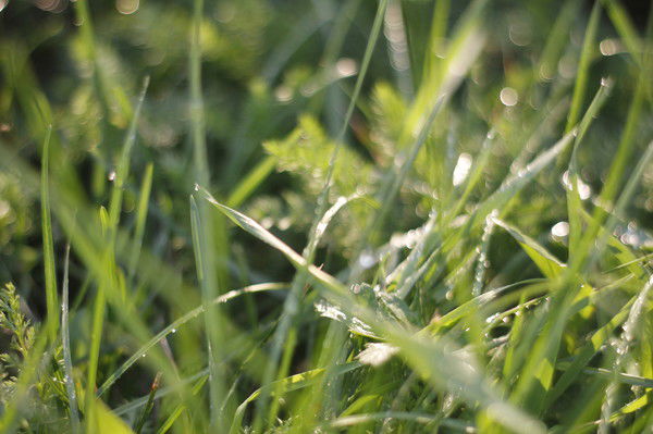 Оксана Баранова