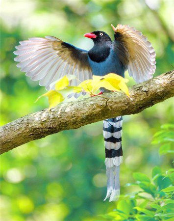 Наталья Никитина