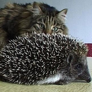 Сергей И Людмила Приставкины