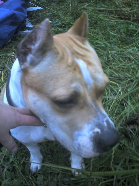 Ольга Петрова